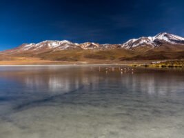 white lagoon bolivia