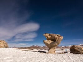 stone tree bolivia