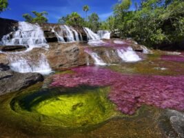 cano-cristales-fluss-in-Kolumbien